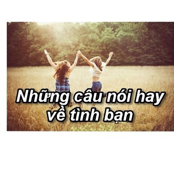 về t&igrave;nh bạn những c&acirc;u n&oacute;i hay