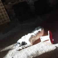 Per questo vivere continuo (Giovanni 14,1-14) V Pasqua anno A by Cerco il Tuo volto