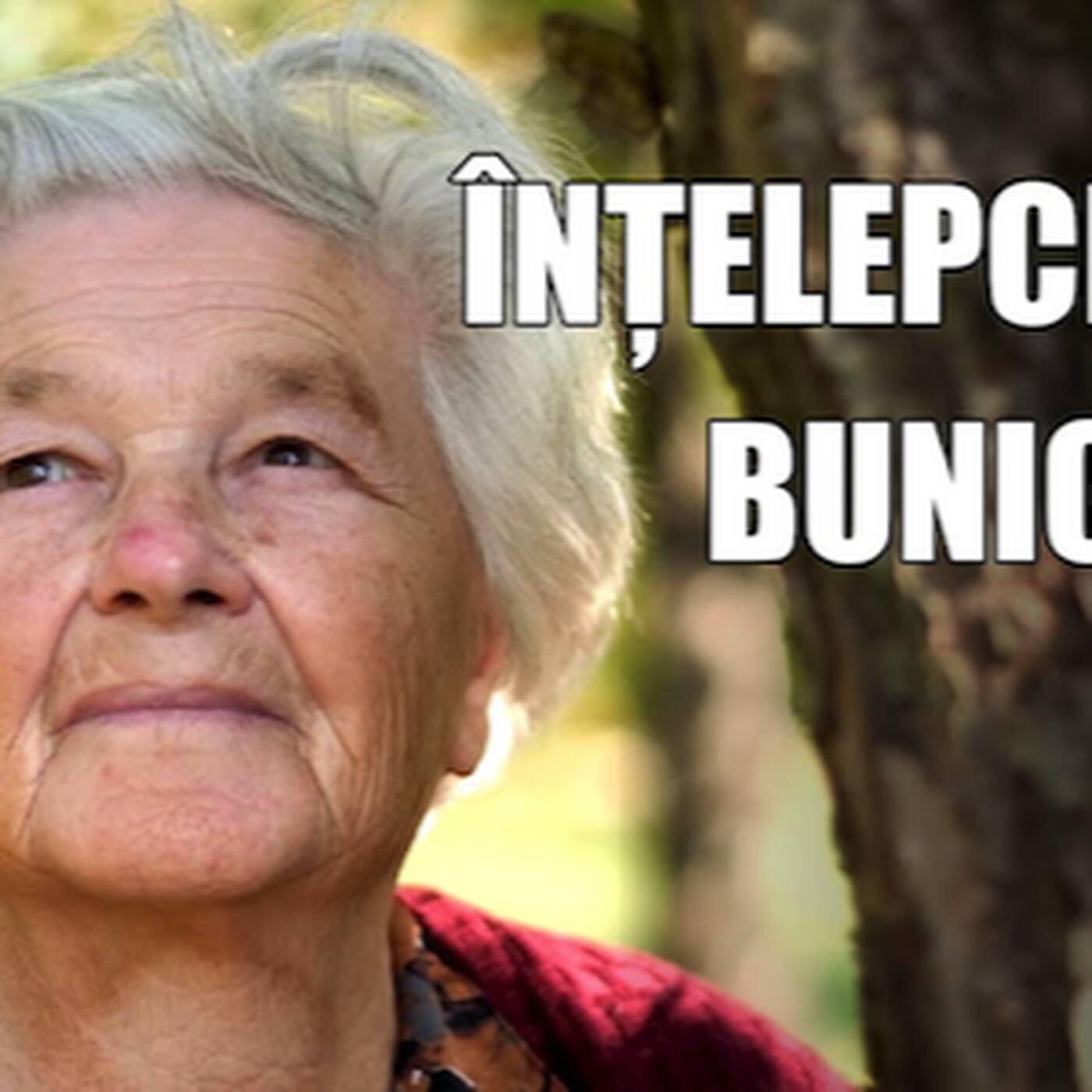 înțelepciunea bunicii episode artwork