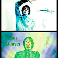 The Chameleon by jim manser