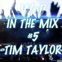 IN THE MIX #5 Tim Taylor by World of DJs