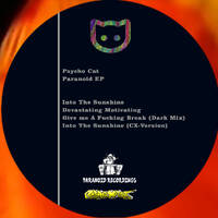 Psycho Cat - Give me A Fucking Break (Dark Mix) (128kbps) by Corona Xtra