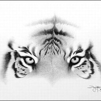 St&eacute;phane Gabriel