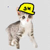 silkwav