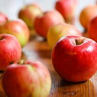 Mundo Mix Radio 181 by DJ João Machado