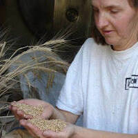 LsLf -Mag- La boulange -02- AMAP (Juillet 2018) by Le son et la forme