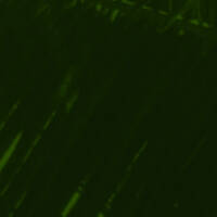 2_ROOM_SESSIONS_MIXED_AND_COMPILED_BY_DJ_STYLISH by Dj Stylish