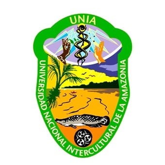 Radio tv intercultural unia