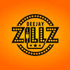 ZILLZ DJ
