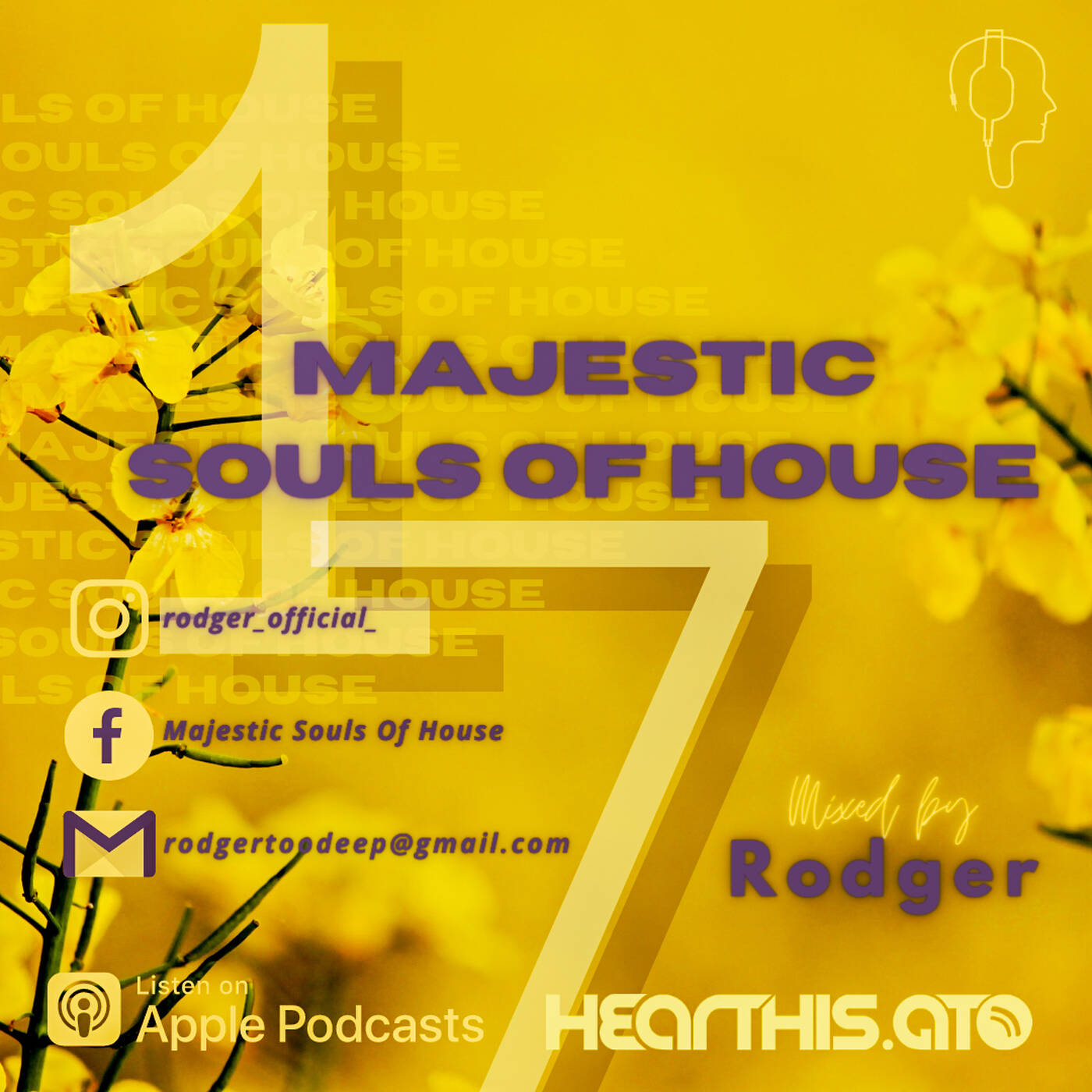 Majestic Souls Of House Vol. 17 episode artwork
