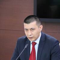 Данияр Нурсеитов, ПАО "Коллегия аудиторов" by BUSINESS FM