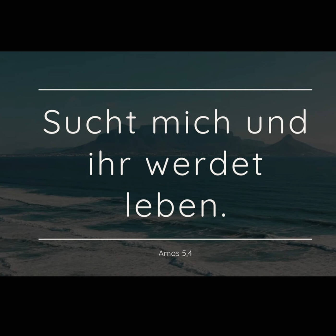 01.02.26 | Sucht mich und ihr werdet leben | Aaron Frölich