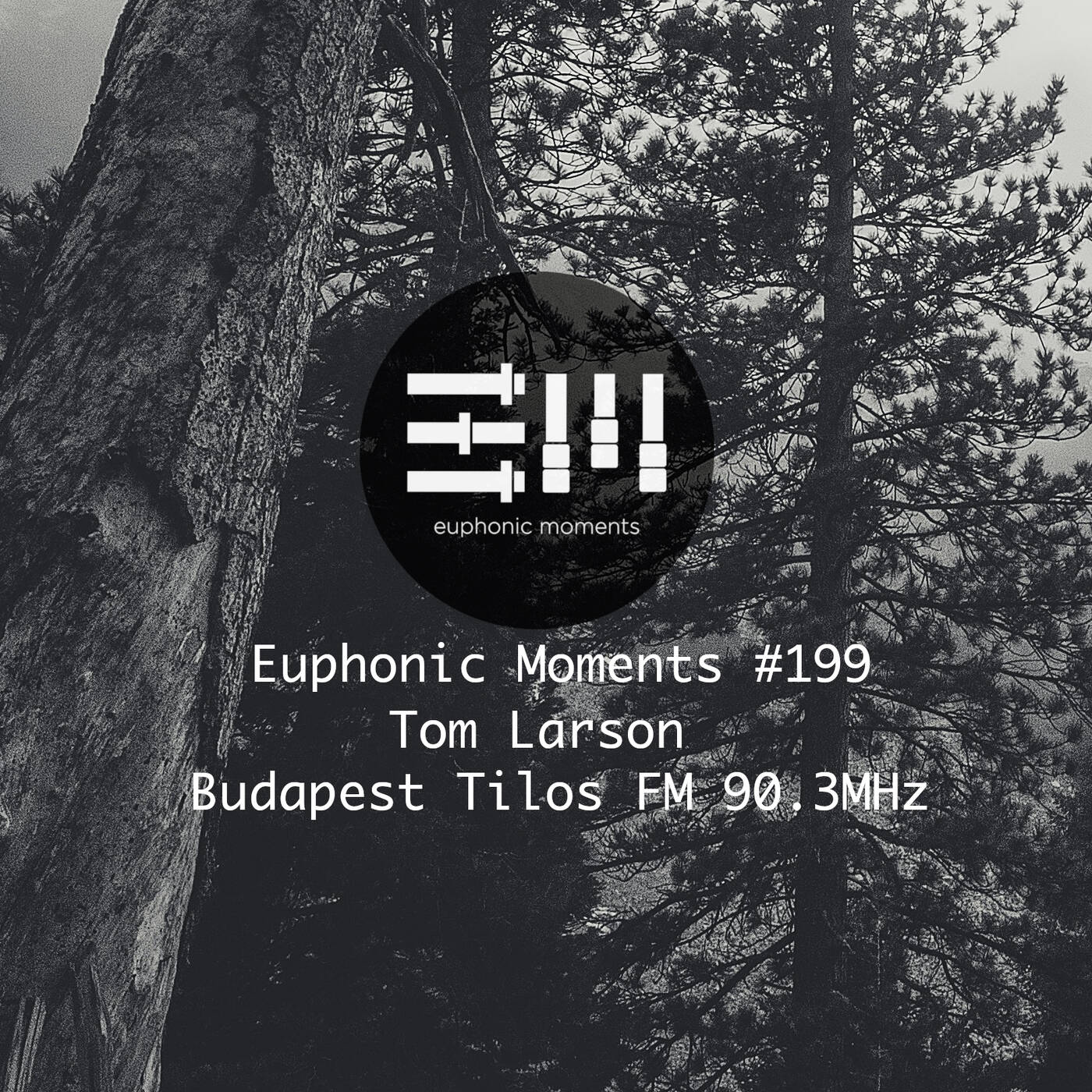 Euphonic Moments