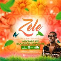 ZÈLE - THE SUNSET EXPERIENCE MIXTAPE 2022 by Blaqrose Supreme