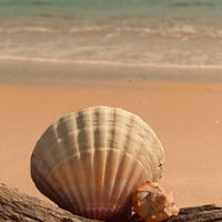 Summer Groove by Kleintje&Winzig