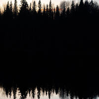 Spring dawn choir by Notes on Sound