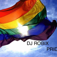 DJ ROBIX - PRIDE RIO 2012 by Deejay Robix