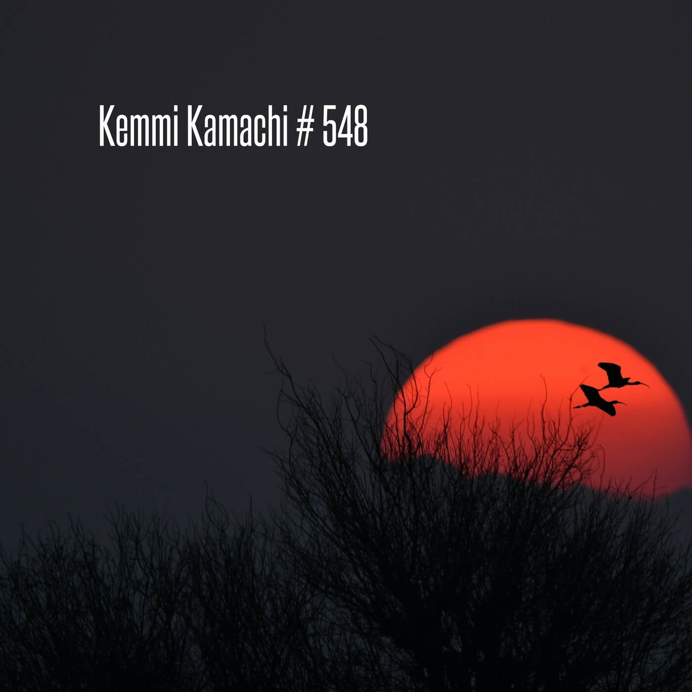 Kemmi Kamachi # 548 — Techno Music  cover