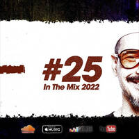in the mix 25 by DiMO BG