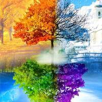 Yogie Smith - Coronia BrainDance @home by Yogie Smith