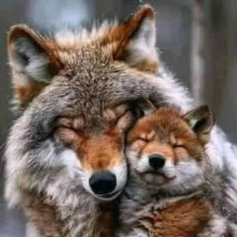 Khanyisa Boodar Varaam