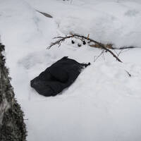 Gurgling stream by Notes on Sound