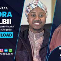 RNH 764, November 14, 2022 Soora Qalbii by NHStudio