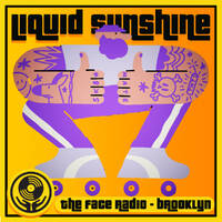 Modern Disco Pop - Liquid Sunshine @ The Face Radio - Show #252 by Liquid Sunshine