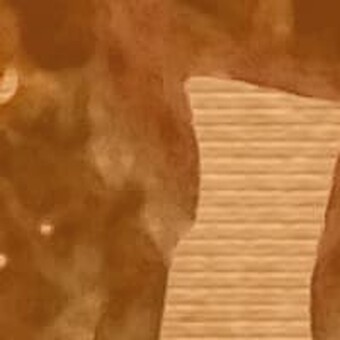 Comfort Khomotjo Sekgala