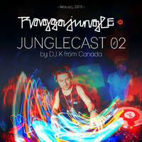 Junglecast 02 / 2016 - DJ K by Raggajungle.biz