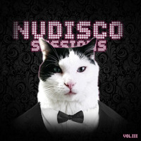 NuDisco Sessions Vol.3 by Floloco