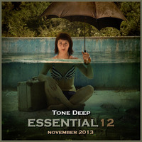 ESSENTIAL 12  By Tone Deep (Nov 2013) by Tone Deep