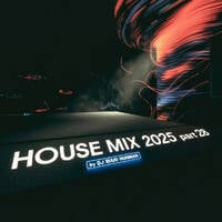 House Mix 2025 28 by Ruud Huisman's Beats From Amsterdam