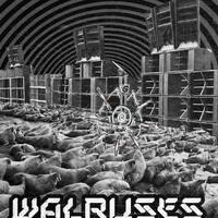 Walruses Party 25 by djmohm