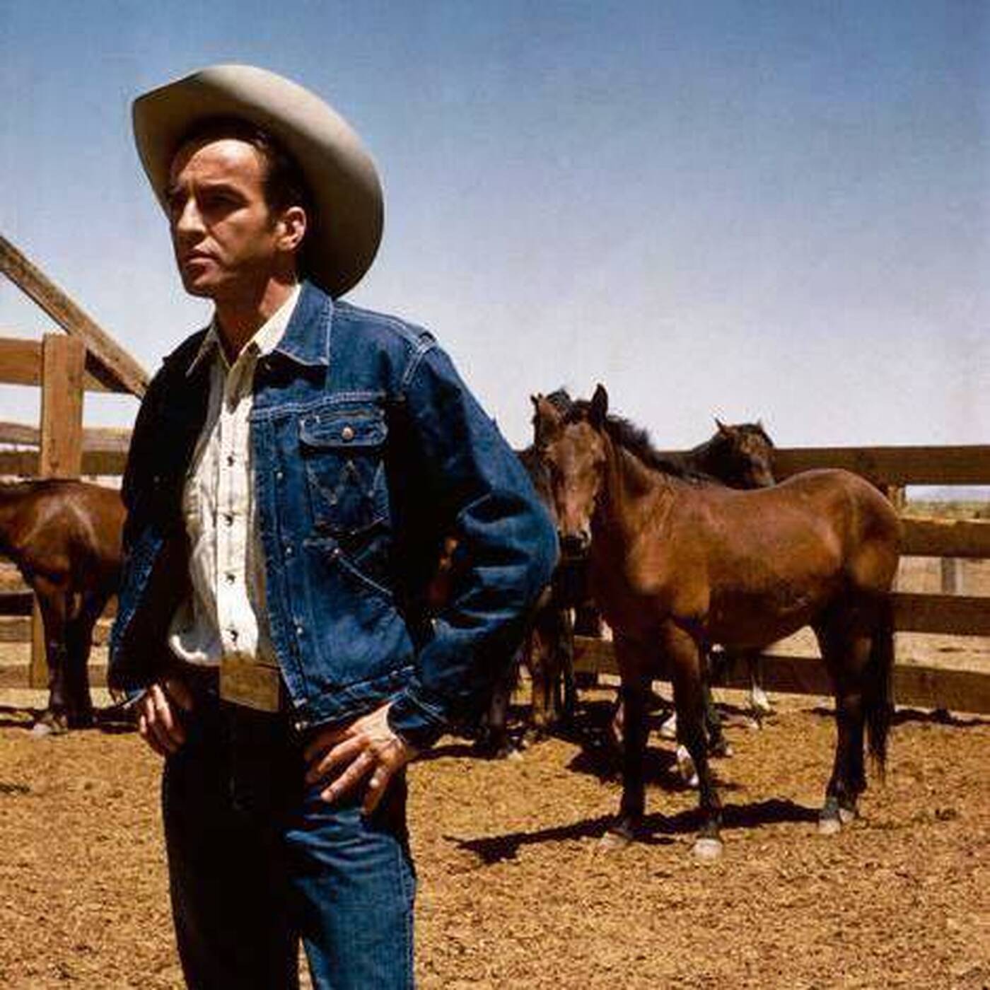 RAD VS COWBOY - Riding On The Range (Gender Neutral - 4 sharing 320k Clash Edit) episode artwork