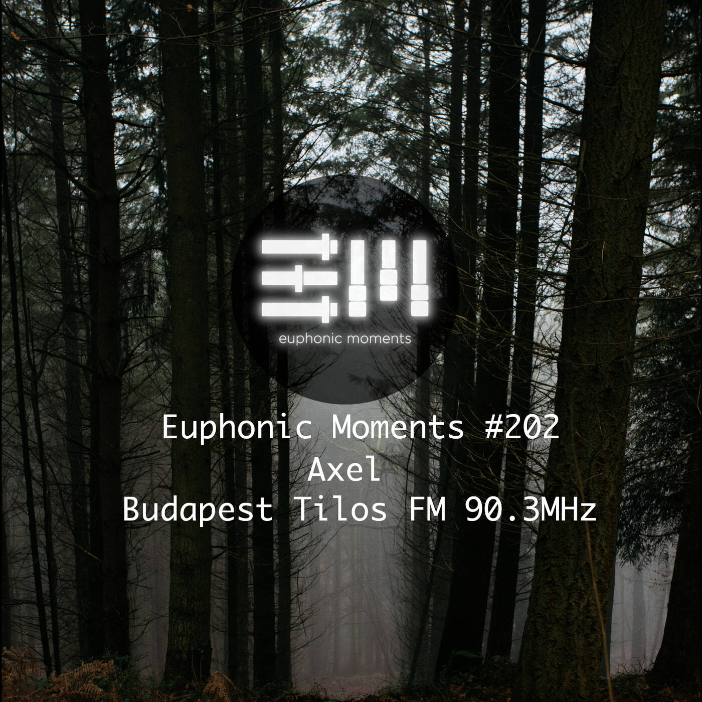 Euphonic Moments # 202 Axel (Vinyl mix) episode artwork
