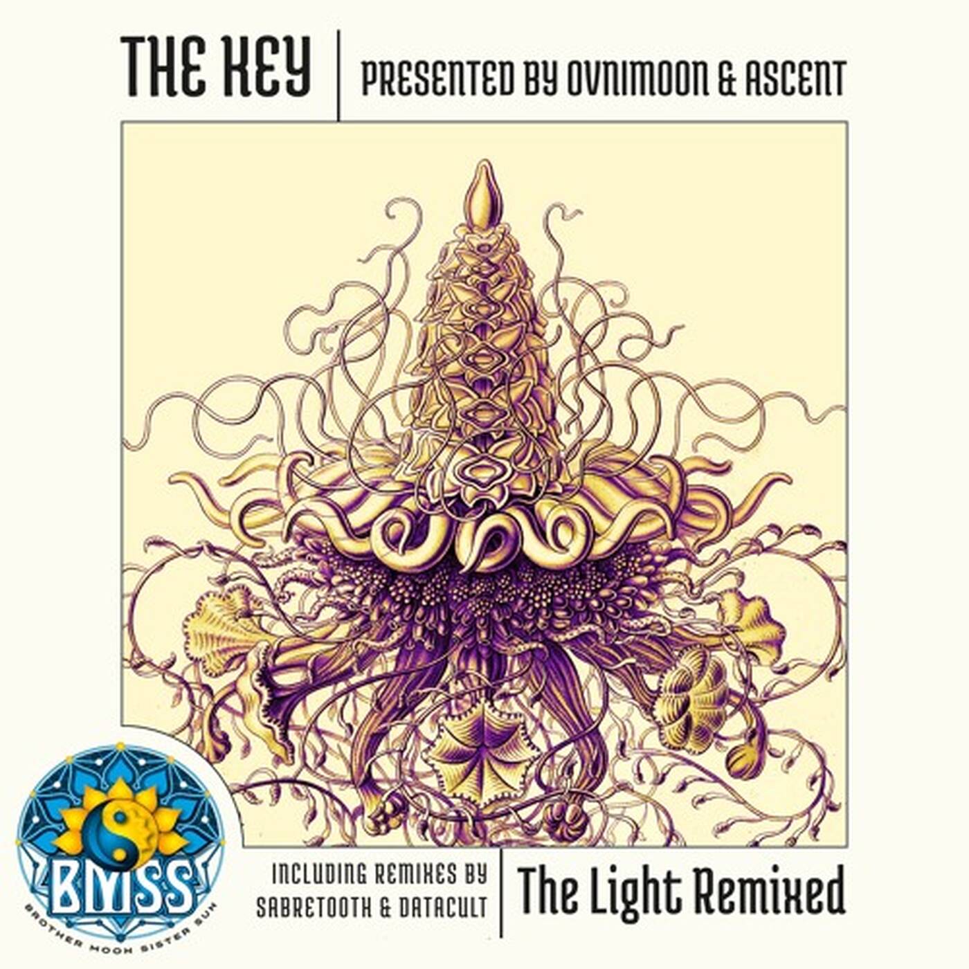 The Key (Ovnimoon & Ascent) - The Voice of the Universe (Sabretooth Remix) episode artwork