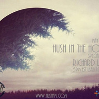 Hush FM guest spot 05.26.2016 podcast 1 by Richard Lewis by Richard Lewis