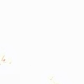 Sier Mafjozy Olebogeng Papa'Rele