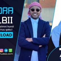 RNH 784, January 30, 2023 Soora Qalbii by NHStudio