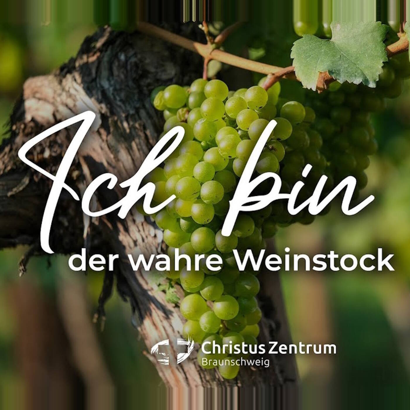 07.07.24 | Ich bin der Weinstock, ihr seid die Reben | Joachim Jäger episode artwork