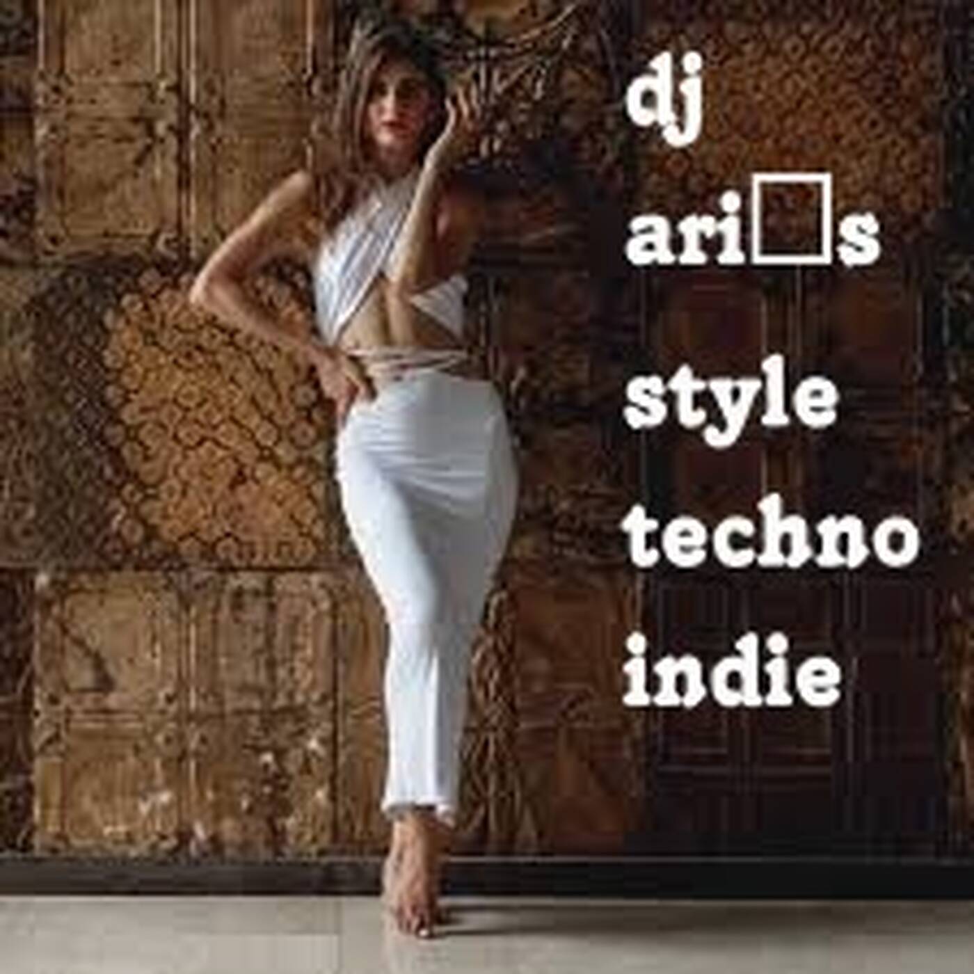DJ ARI'S STYLE#ULTIMATE SUMMER INDIE TECHNO HOUSE#EP 06 2025 episode artwork