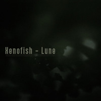 Xenofish - Timeshell by Xenofish