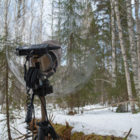 Ural Owl by Notes on Sound