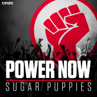 Power Now (Original Mix) by Sugar Puppies
