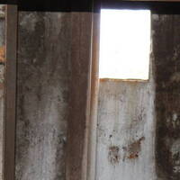 rust by D Igital