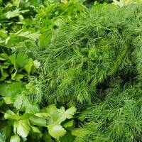 PODCAST: Eine Geschichte über Dill by Berliner Whiskyclub