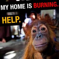 Premiere vue - emission 1 en direct by Frequence Sillé