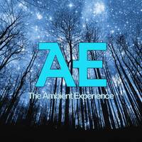 TT-ram - The Ambient Experience 27 by Josquin Versatile