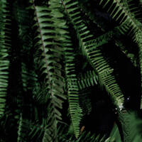 DOXS RUHR Podcast: WER REISST HIER NOCH WAS RUM? Folge 03 Planet B by Wer reißt hier noch was rum?